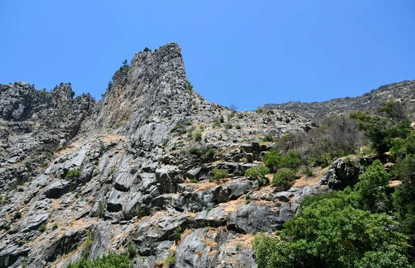 美丽的山景观在国王峡谷国家公园 — 图库照片