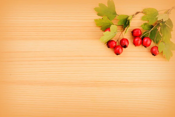 Branch with ripe hawthorn berries on a wooden background. Top view, flat lay