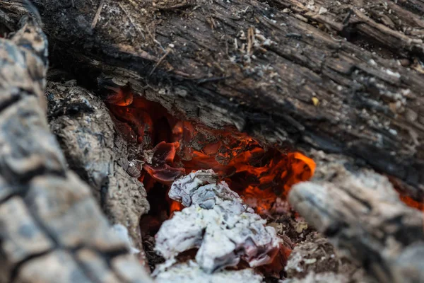 Burnt logs and fire flames close-up. Abstract background