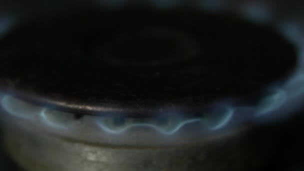 Gas is switching on, apearing blue flame. Gas stove on black background. — Stock Video