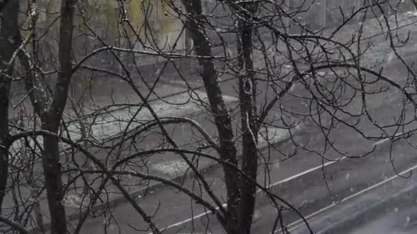 Fuori nevica. Stagione invernale . — Video Stock