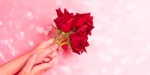 Frauenhände, die drei rote Rosen auf rosa Hintergrund mit Bokeh mit Herzen halten. Valentinstag Banner oder Grußkarte. — Stockfoto