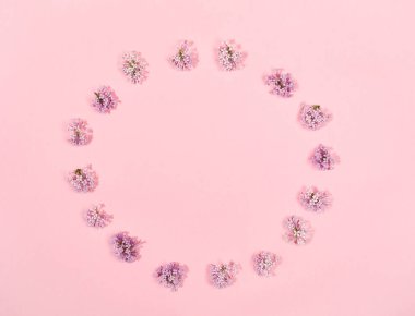 Eflatun çiçekleri moda pembe arka planda daire içine alınmış yaratıcı çiçek arkaplanı. Üst görünüm.