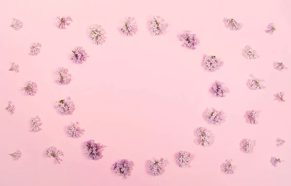 Fundo floral criativo com flores de lilás dispostas em círculo com espaço de cópia dentro dele no cenário rosa na moda . — Fotografia de Stock