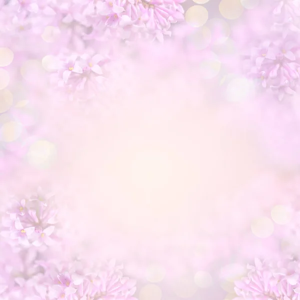 Размытый розовый макет крупным планом с цветущими цветами лилового дерева и золотым боке для приглашения или поздравительной открытки. Креативная цветочная рамка . — стоковое фото