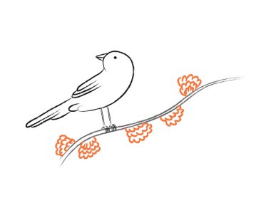 Bir şube kroki, vektör çizim kuş