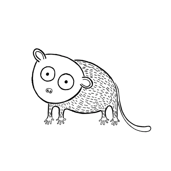 Tarsius Tarsier σκίτσο, χέρι διανυσματικά εικονογράφηση — Διανυσματικό Αρχείο