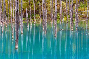 Shirogane Mavi Gölet, Hokkaido, Japonya