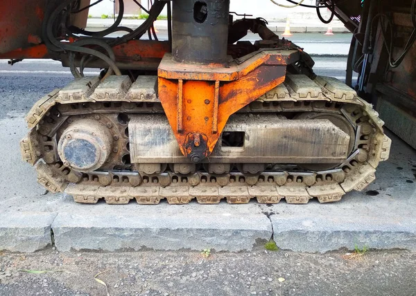 Sürüngendeki taşıma mekanizmasının desteği.