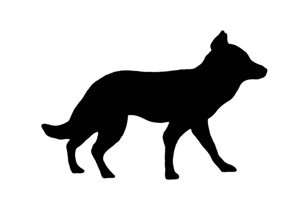 Silhouette nera di un lupo su uno sfondo bianco in attesa — Foto Stock