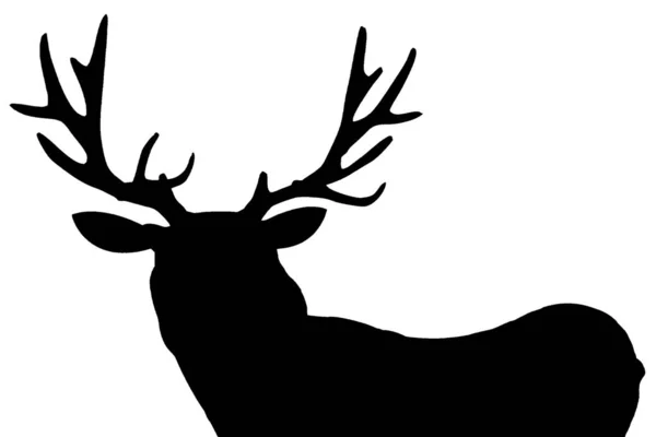 Boynuzları olmayan siyah bir geyiğin silüeti beyaz bir arka planda ileriye bakıyor.