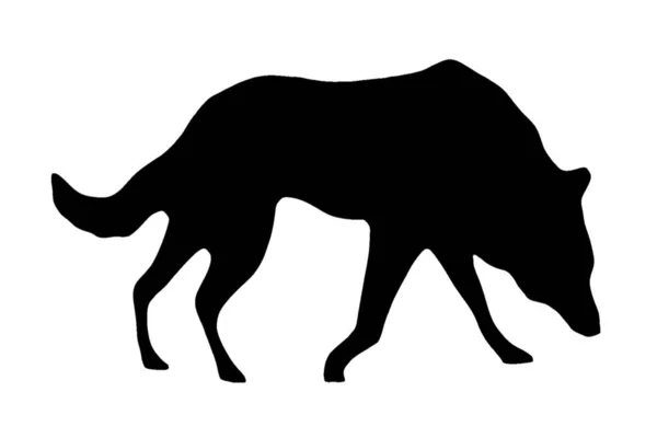 Black Silhouette Wolf White Background Side His Head — 스톡 사진