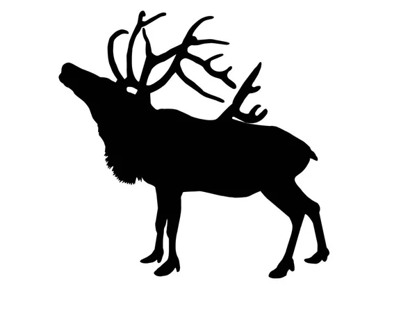 Black Silhouette Reindeer Horns Standing Profile — Stock Photo, Image