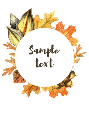 Autumn leaves and acorn border frame with space text on transparent background. Seasonal floral maple oak tree orange leaves with gourds for thanksgiving holiday watercolor pencils illustration