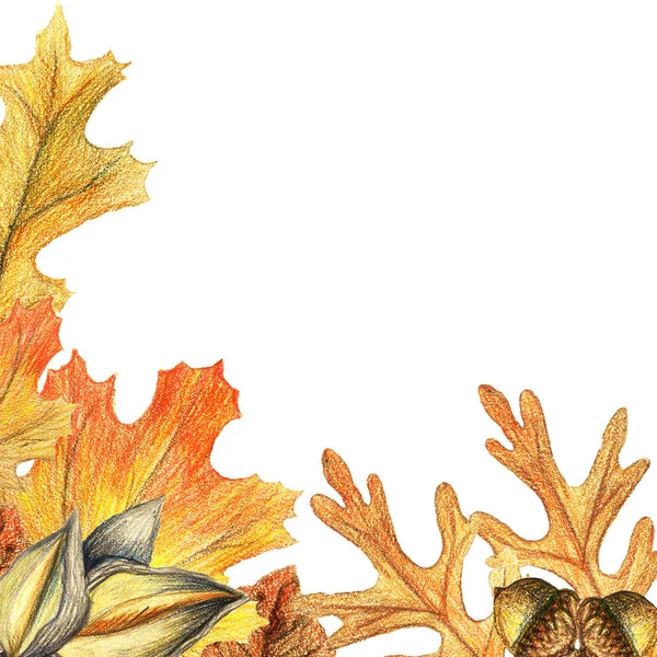 Осіннє листя і прикордонна рамка жолуді з космічним текстом на прозорому фоні. Сезонні квіткові кленові дубові дерева апельсинове листя з гурманами для подяки свята акварельні олівці ілюстрація — стокове фото