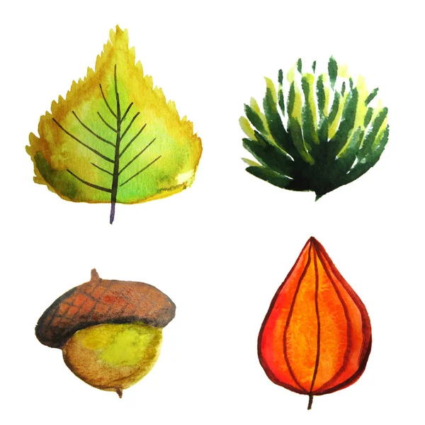 Handzeichnende Aquarellstifte auf Papier - schöne rote und gelbe Herbstblätter. Vereinzelte Illustration auf weißem Hintergrund — Stockfoto