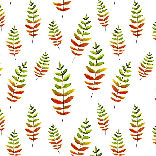 Mano de otoño dibujado colorido sin costuras setas patrón, hoja, nuez, trébol, nuez, flores, amapola, acorn. Ilustraciones botánicas detalladas —  Fotos de Stock