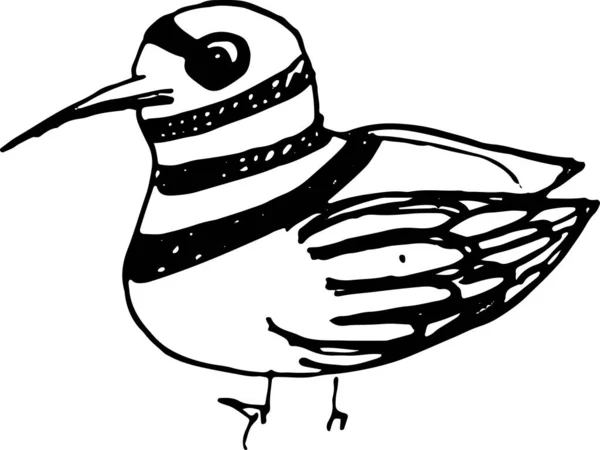 Dibujo de aves dibujado a mano. El vector esboza la ilusación — Vector de stock