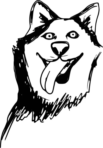 Vetor siberiano husky isolado sobre fundo branco. Desenho de tinta desenhada à mão vintage com cão retrato . —  Vetores de Stock