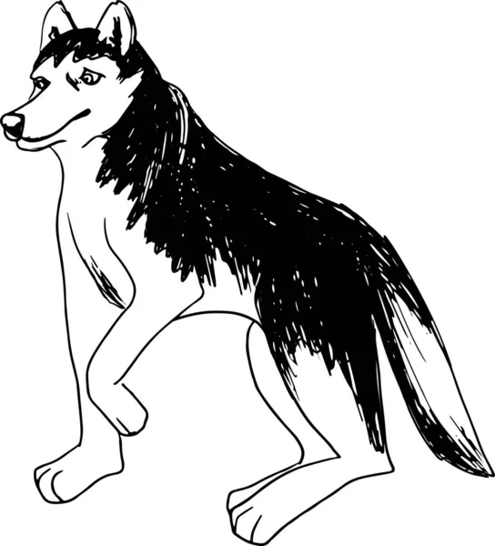 Vektor siberian husky terisolasi pada latar belakang putih. Sketsa tinta gambar tangan antik dengan gambar anjing . - Stok Vektor