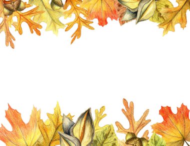 Autumn leaves and acorn border frame with space text on transparent background. Seasonal floral maple oak tree orange leaves with gourds for thanksgiving holiday watercolor pencils illustration