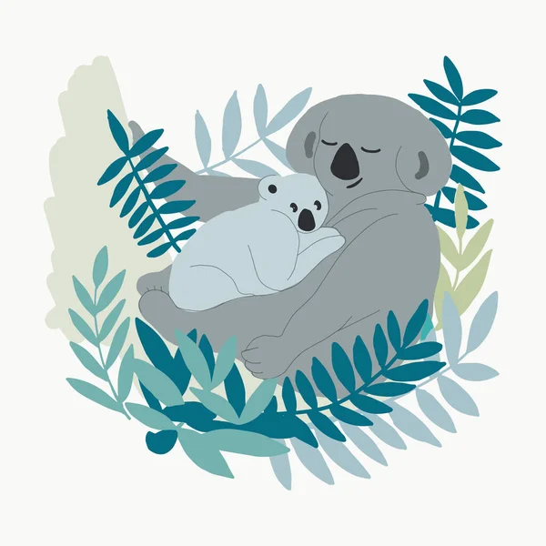 Çizimi Şirin Koalalar Anne Bebek Konsepti Çizimleri Avustralya Hayvanları Sevimli — Stok Vektör