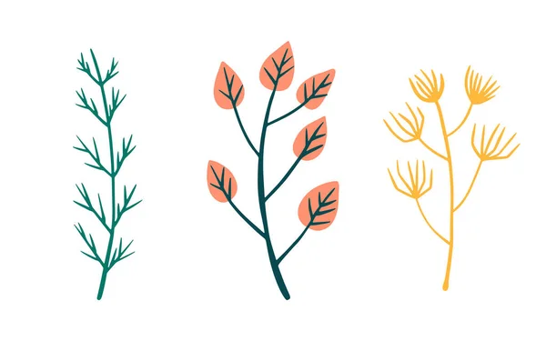 一套手绘色彩艳丽的叶子 草本植物和花卉 详细的植物图解 病媒植物设计集 — 图库矢量图片