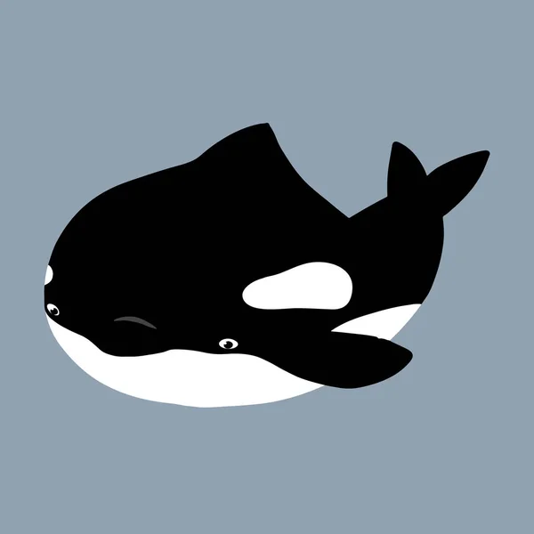 Cute Flat Killer Whale Drawing Adorable Little Cartoon Orca Vector — Stock Vector