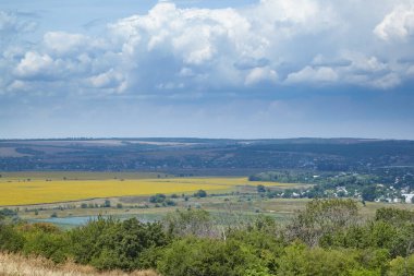 Peyzaj arka planı. Sarı çiçekli tarlalar, tepeler, ağaçlar, evler ve güzel bulutlar..