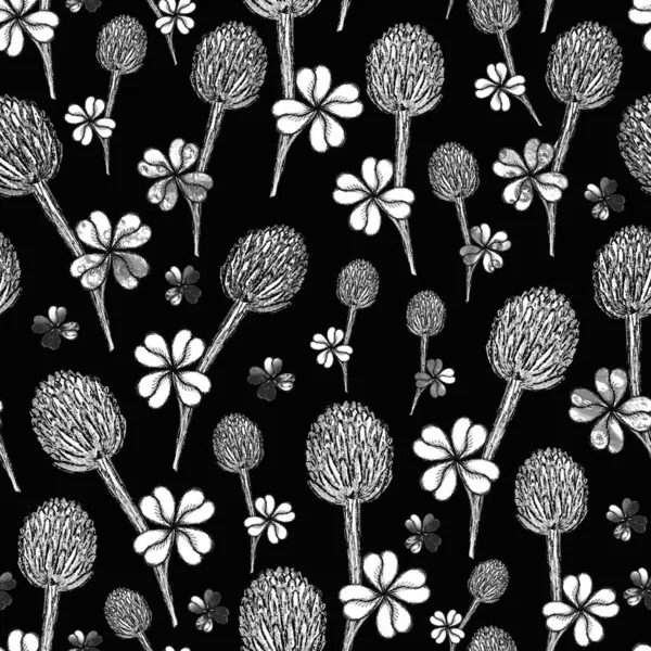 Fiore di trifoglio modello senza cuciture su uno sfondo nero. Disegno a matita a mano. Trifolium Meadow. Quadrifoglio come emblema di amuleti, talismani. Stampa per tessile, carta da imballaggio . — Foto Stock