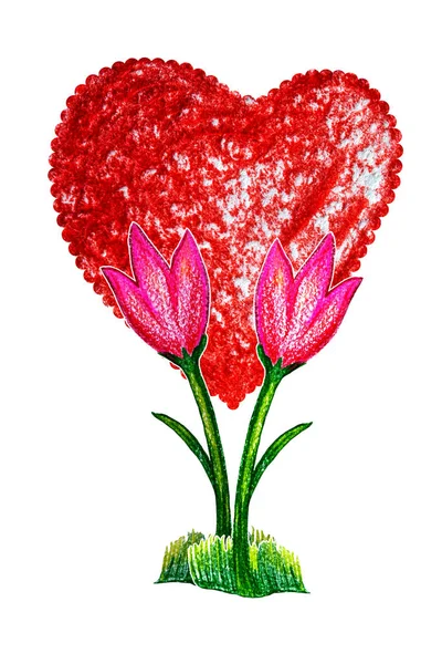 Serce i tulips.Izolowany rysunek serca i kwiatów na białym tle. Ręcznie rysowane kredki akwarelowe. Symbol Walentynek, 8 marca, druk na kartach, odzież. — Zdjęcie stockowe