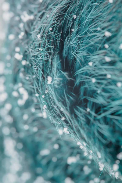 Abstract blurred blue green background. Fur nap and snow. Minimalism. Villus fur. Blue-green fur macro villi texture details backdrop on blur background