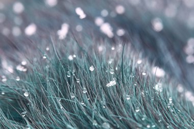 Abstract pastel natural background. Green grass, rain and snow. Magical fairytale background in the misty morning haze. Beautiful close ecological nature landscape