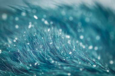 Calm turquoise background. Abstract blurred blue green background. Fur sleep and snow. Minimalism. Villus fur. Blue-green fur macro villi texture background detail on blurred background