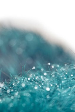 Abstract soft natural background in pastel light colors. Close-up macro of grass and dew in green and blue tones. delicate artistic image, copy space. Abstract blurred blue background