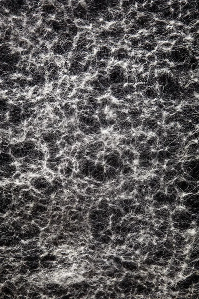 Background of spider webs. Art photo from fabric through fibers. Ancient background.Grunge dust cloudy background.Fluffy fibers in a macro style.Abstract black and white background.Minimal Texture. — Stock Photo, Image