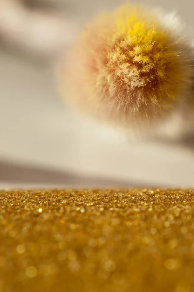 Κοντινό πλάνο από ένα φυτό ιτιάς. Γούνινο Catkins λαμβάνεται με ένα μακροσκοπικό φακό. Αφηρημένο κίτρινο και λευκό φόντο. Θολή ιτιά λουλούδια και χρυσόσκονη. Επιλογή εστίασης και θόλωση.Αντιγραφή χώρου — Φωτογραφία Αρχείου