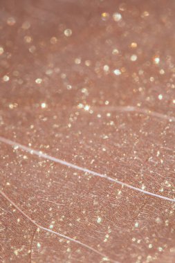 Hassas bulanık arkaplan renkleri. Puslu, göze çarpmayan, şeffaf bir yaprak dokusu olan soyut bir arkaplan. Doğum günü kartları ve düğünler için arka plan olarak kullanılabilir.