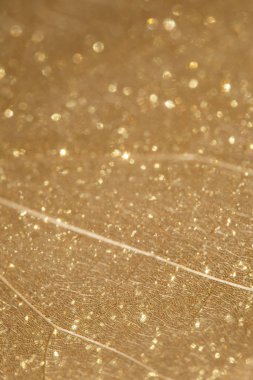 Hassas bulanık arkaplan renkleri. Hassas arkaplan. Şeffaf yaprak dokusuna sahip puslu ve soyut bir arkaplan. Doğum günü kartları ve düğünler için arka plan olarak kullanılabilir..