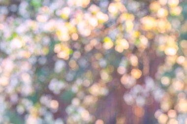 Soyut Pastel bulanık arkaplan. Güzel, yumuşak bir arka plan. Minimalizm. Odaklanmamış arka plan. Doğal bokeh. Grunge tarzı, klasik tonda. Kopyalama alanı.