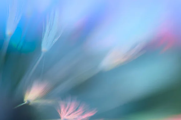 흉터가 무지개 부드럽고 연보라색 홀로그램 유행하는 창의적 — 스톡 사진