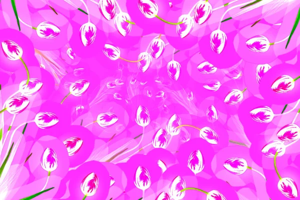 Virágos Absztrakt Rózsaszín Háttér Virágkompozíció Tulipánok Rózsaszín Háttérrel Másold Helyet — Stock Fotó