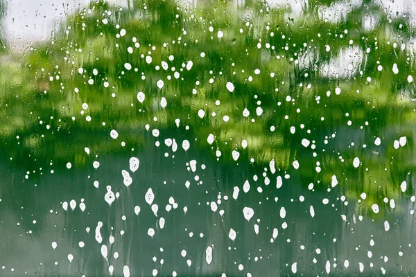 Abstract Wet Glass Background Drop Rain Window Glass Blur Tree — Stock Photo, Image