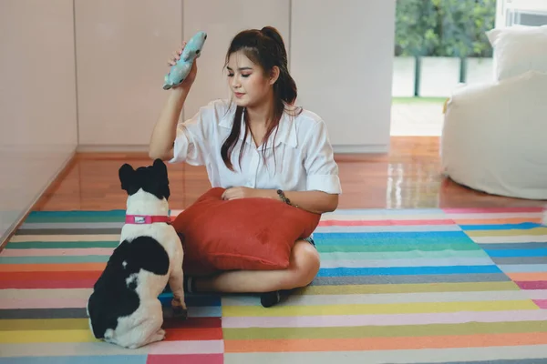 白いシャツを着た美しいアジア系の若い女性が リビングルームで楽しそうに笑顔でかわいい犬と座って遊んでいる赤い枕を持っています 生活様式の概念 — ストック写真