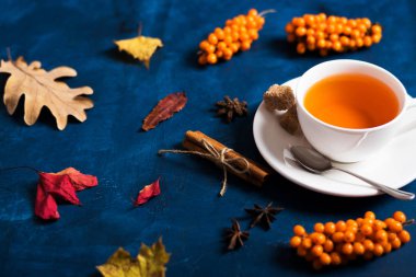 Koyu arkaplanda deniz dikenli çay