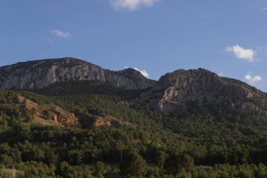 Çam ağaçları ve bulutlarıyla kayalık dağ