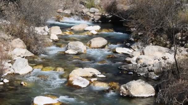Natuurlijke Waterval Rivier Milieu Landschap — Stockvideo