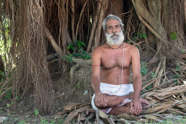 印度西孟加拉邦伯德旺 2019年10月30日 一名印度僧人坐在丛林中的一棵榴莲树下 身上没有尸体 — 图库照片