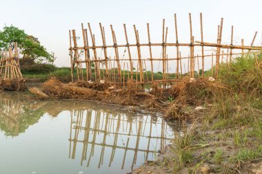 Batı Bengal 'deki bir nehrin kıyısındaki güzel doğa manzarası. Güneşli bir günde tropikal ormanda yeşil ağaçların sulara yansıdığı güzel bir nehir manzarası.