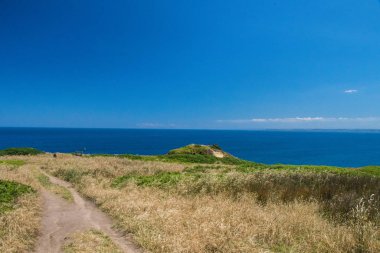 Güneşli bir günde Phillip Adası 'nda yürüyüş yapmak